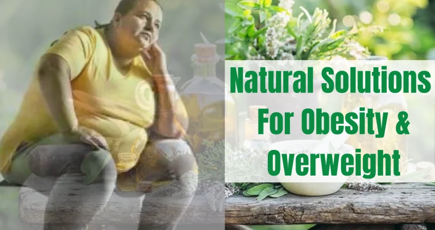 Obesity & Overweight – Causes, Effects & Natural Treatment